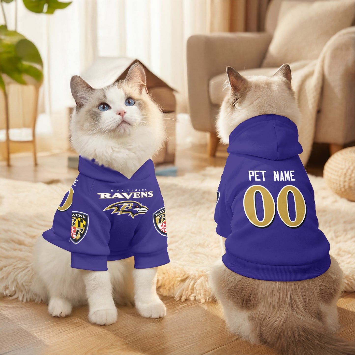 BAL Pet Hoodie
