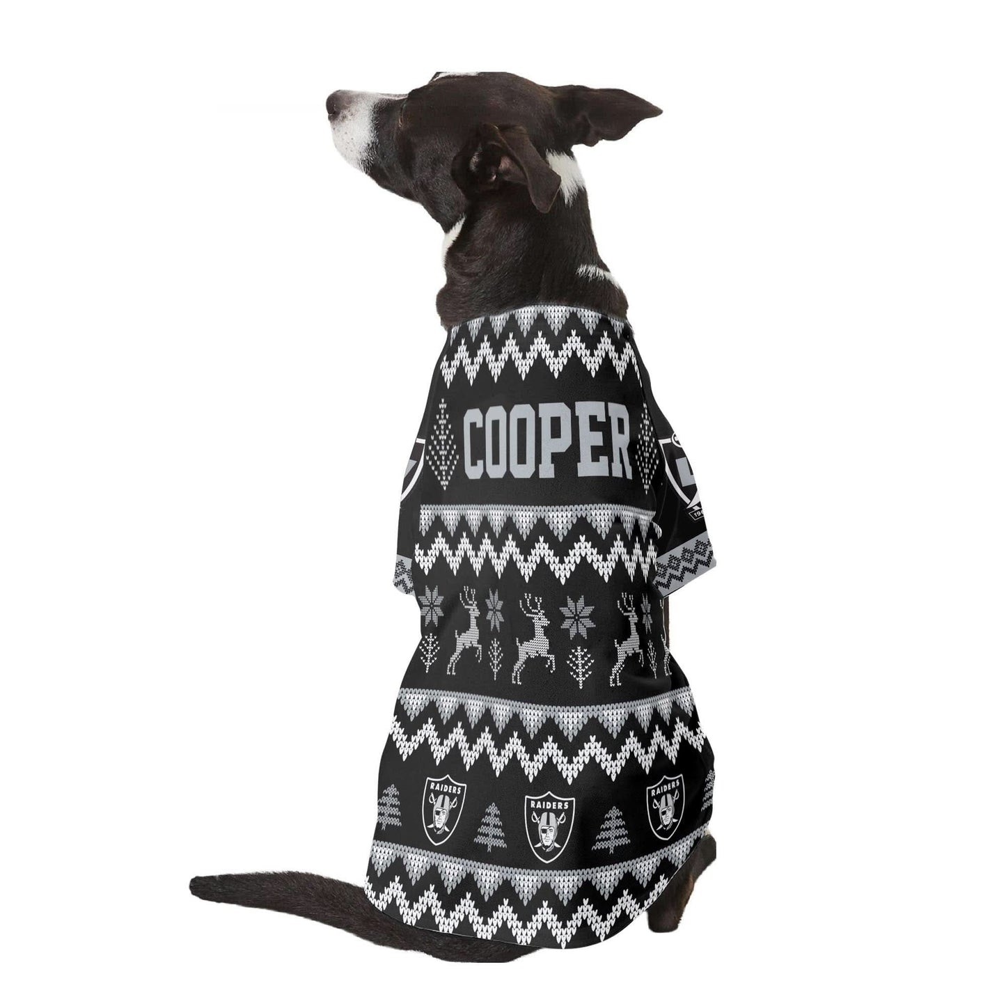 LVR Family Holiday Ugly Sweater Pet Coat