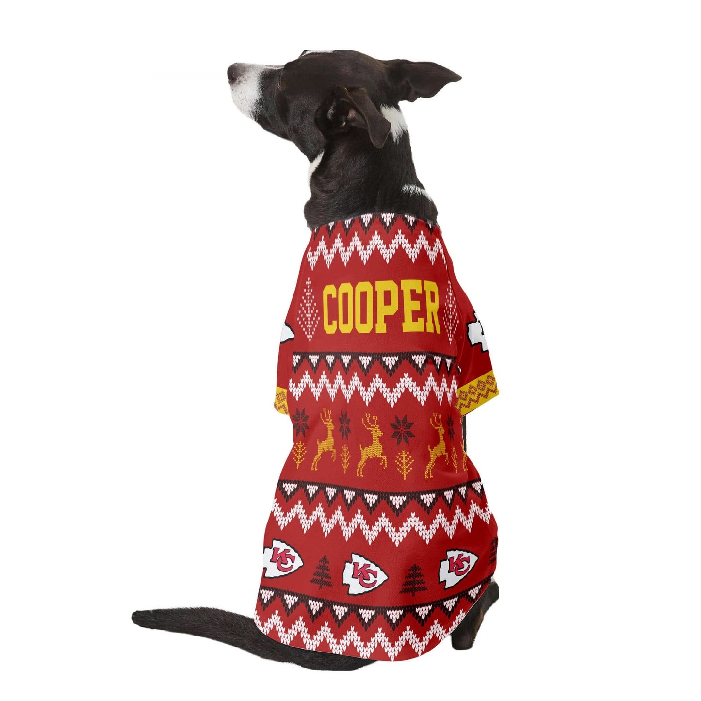 KCC Family Holiday Ugly Sweater Pet Coat