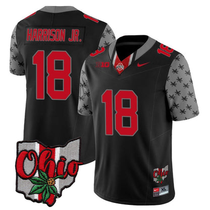 Ohio State Buckeyes 2023 Gray Alternate Jersey V2 - Stitched