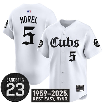 Men's Chicago Cubs 'Ryne Sandberg Tribute' Vapor Premier Limited Jersey - All Stitched