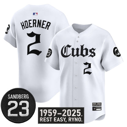 Men's Chicago Cubs 'Ryne Sandberg Tribute' Vapor Premier Limited Jersey - All Stitched