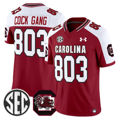 Men's South Carolina Gamecocks 2025 Vapor Limited Jersey - All Stitched