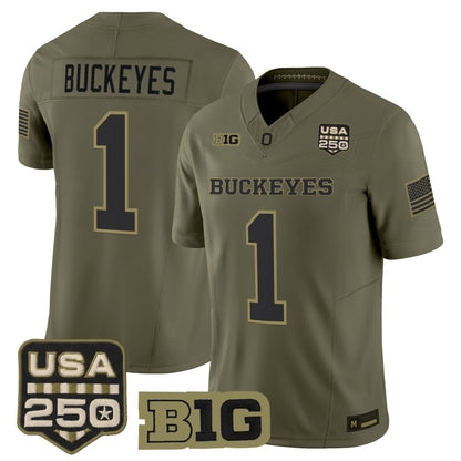 Ohio State Buckeyes 2026 Salute to Service Vapor Limited Jersey - Stitched