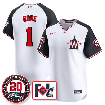 Washington Nationals Celebrate 20 Years Limited Jersey - All Stitched