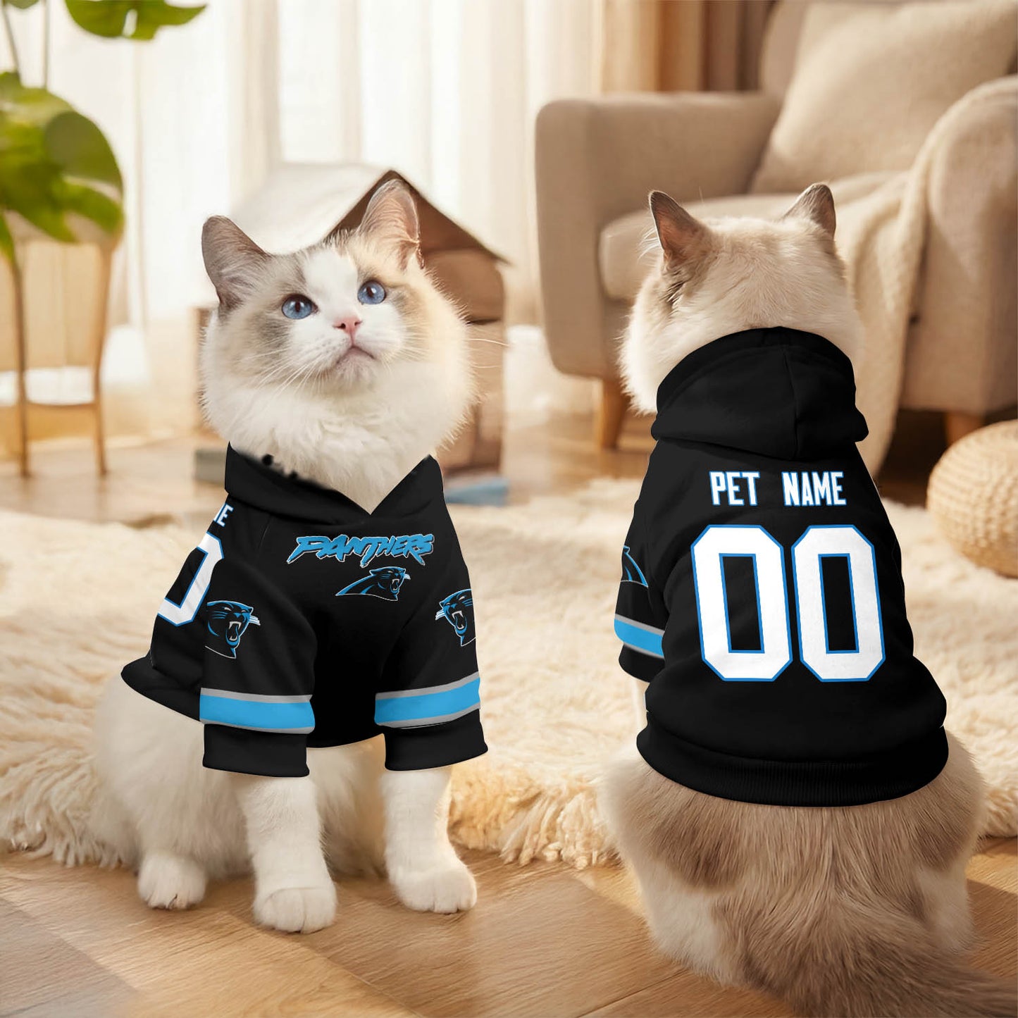 CAR Pet Hoodie