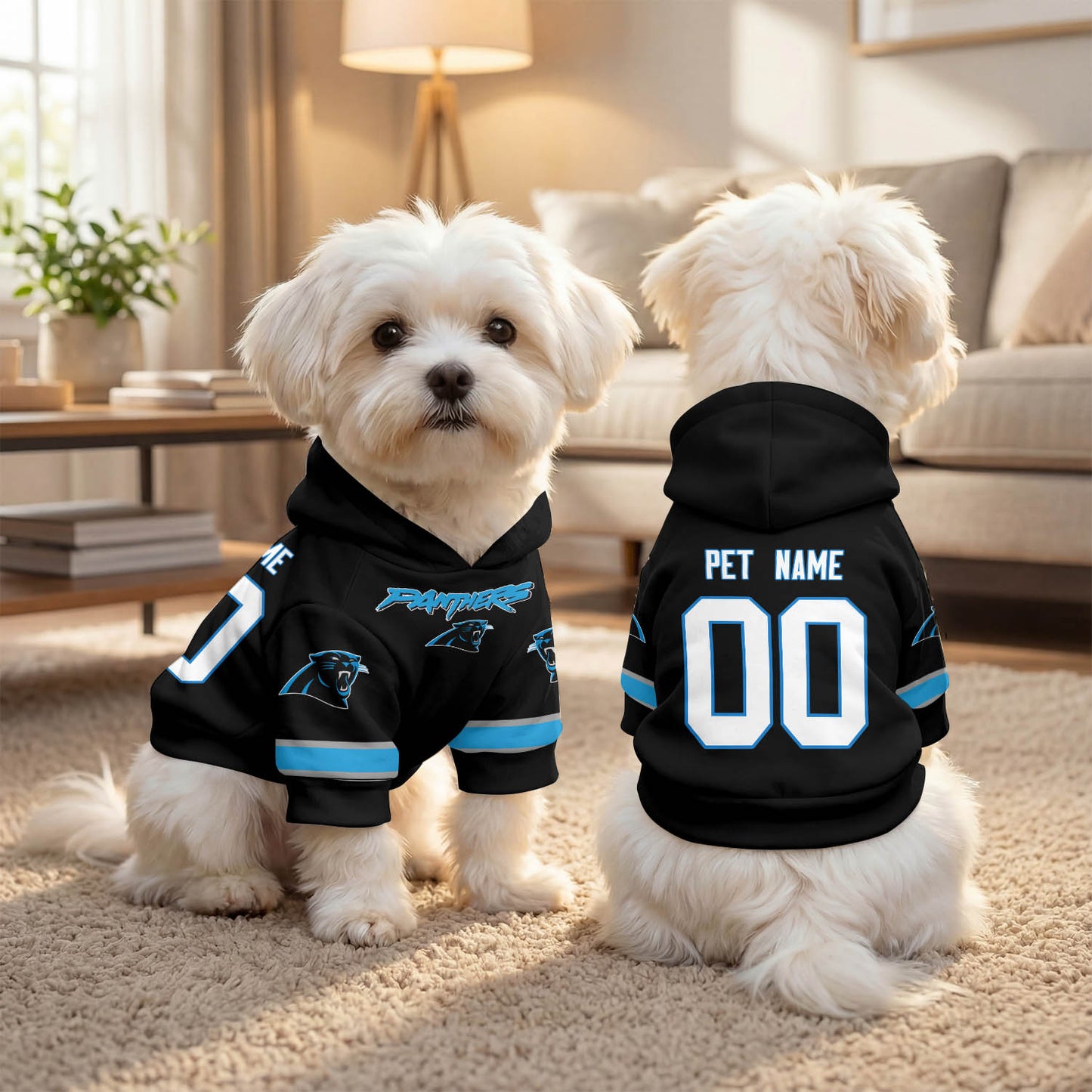 CAR Pet Hoodie