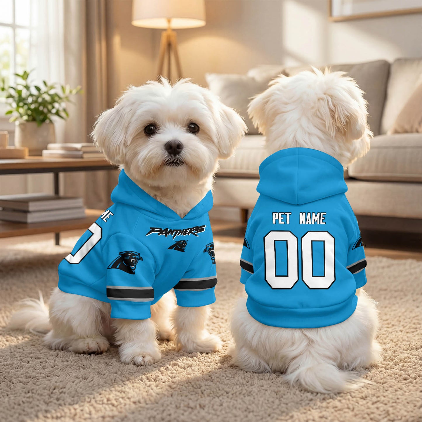 CAR Pet Hoodie