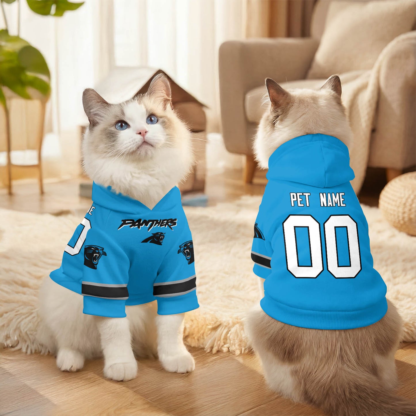 CAR Pet Hoodie