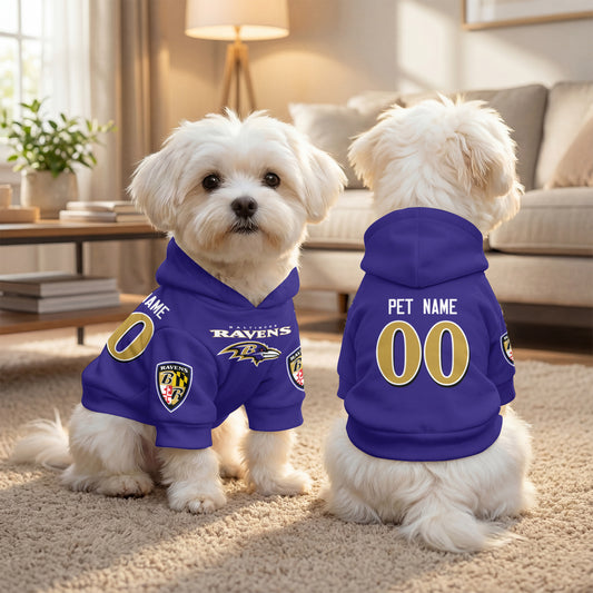 BAL Pet Hoodie