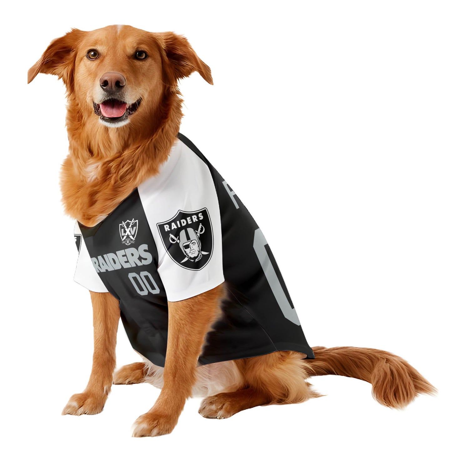 Raiders Pet Coat - Gifts for Pet Lovers