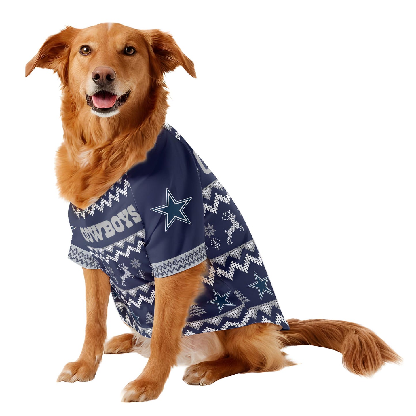 Dallas Cowboys Family Holiday Ugly Sweater Pet Coat