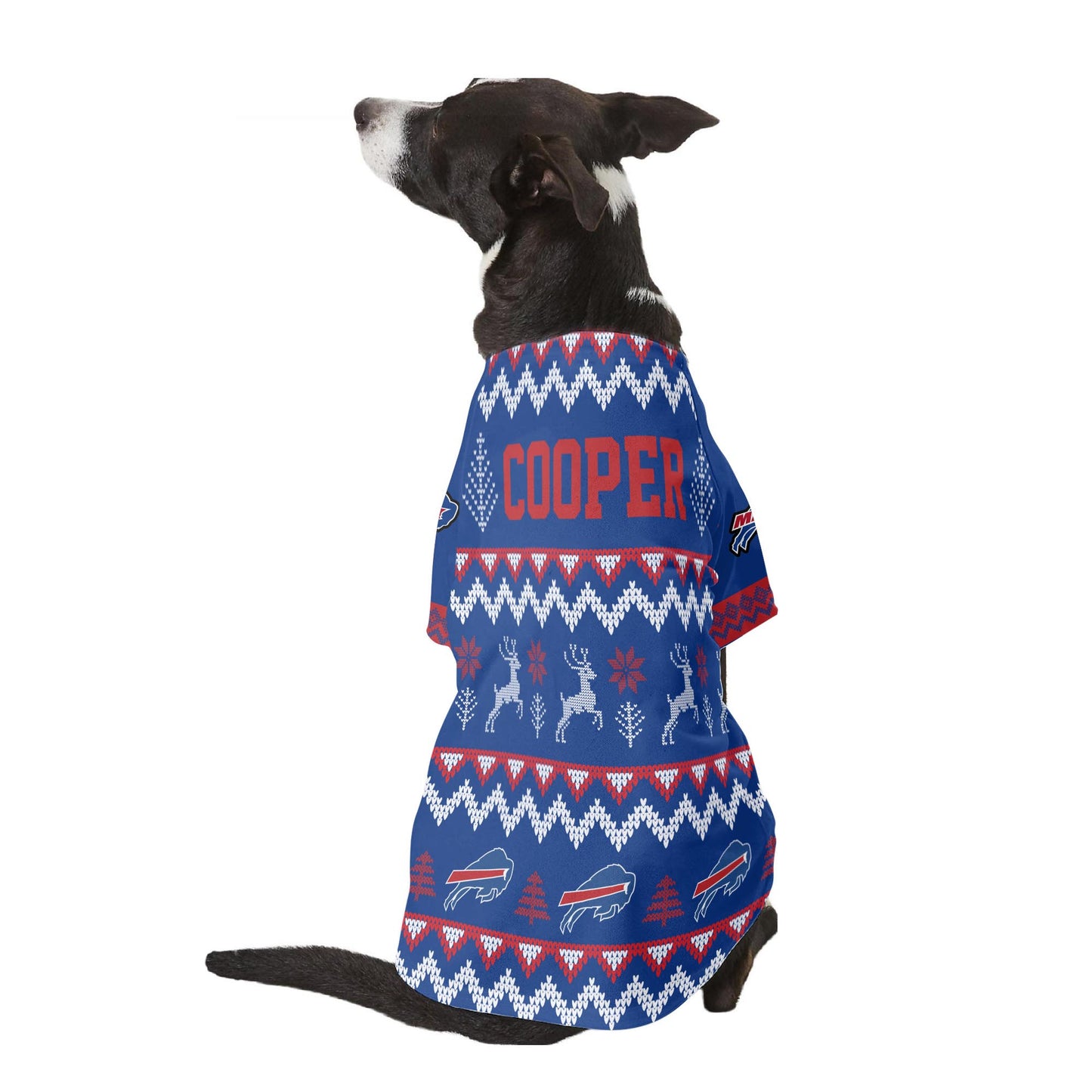 Buffalo Bills Family Holiday Ugly Sweater Pet Coat