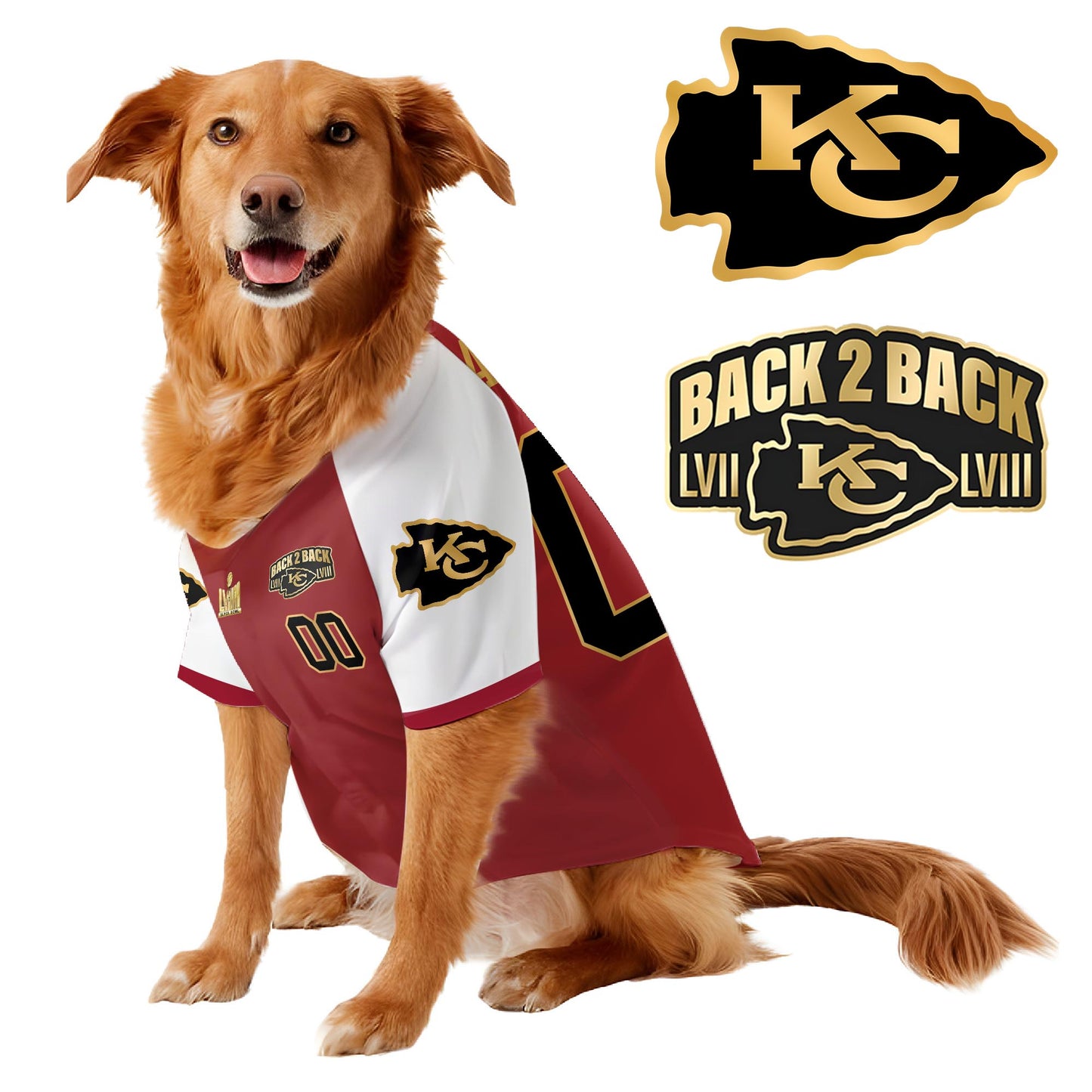 Chief Super Bowl Champions Pet Coat - Gifts for Pet Lovers