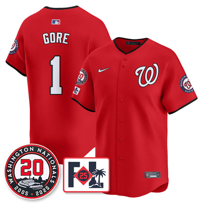 Washington Nationals Celebrate 20 Years Limited Jersey - All Stitched