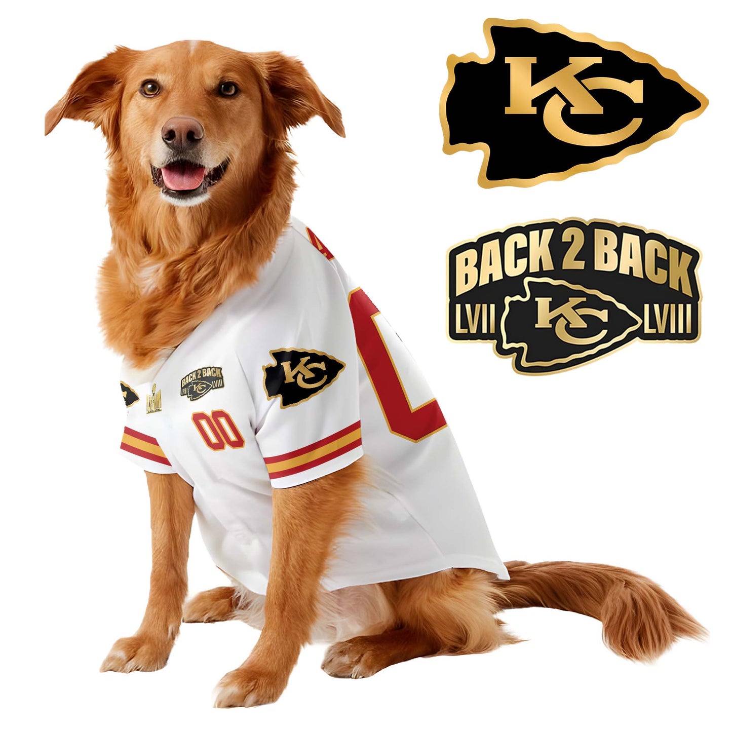 Chief Super Bowl Champions Pet Coat - Gifts for Pet Lovers