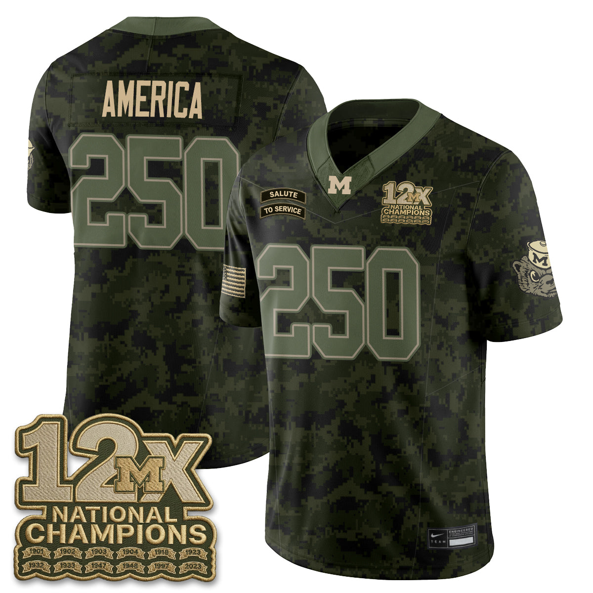 Michigan Wolverines 2026 Salute to Service Vapor Jersey - Stitched
