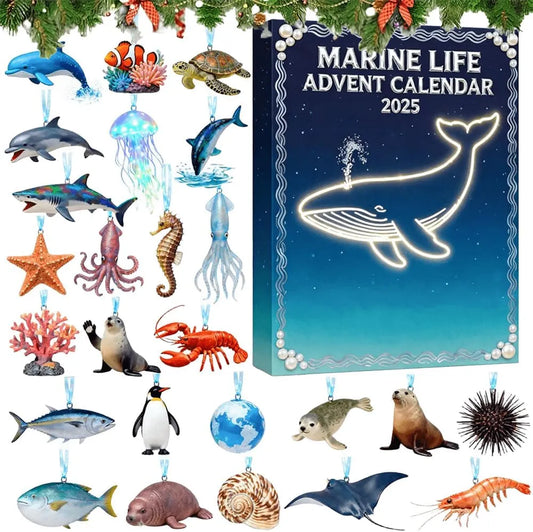 Marine Live Advent Calendar 2025